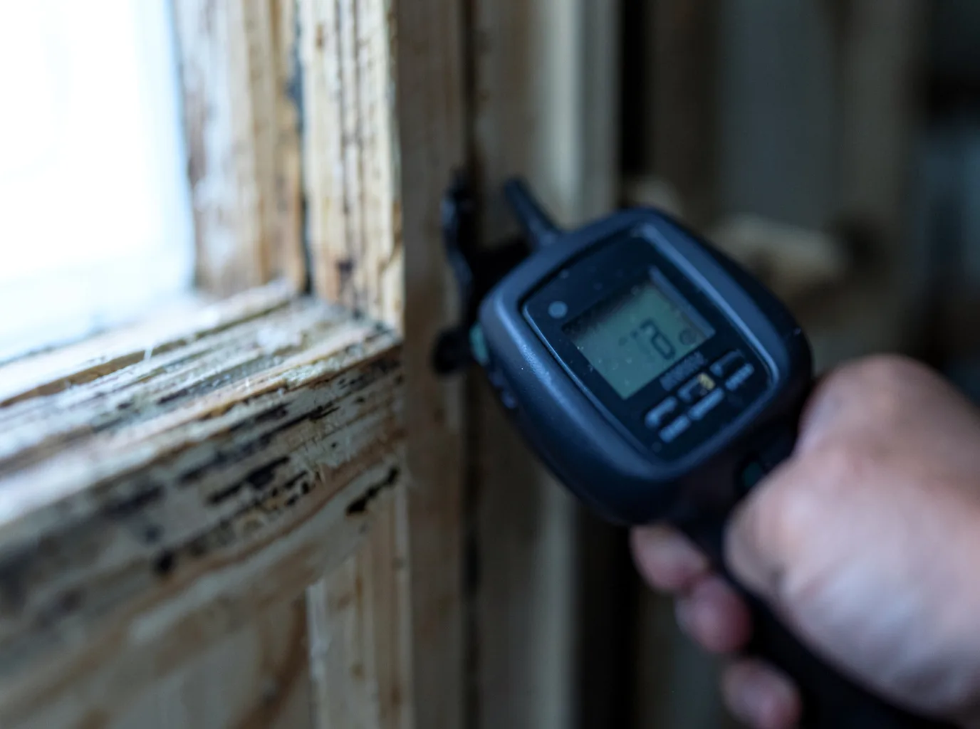 Moisture Inspection And Documentation in Equality, AL